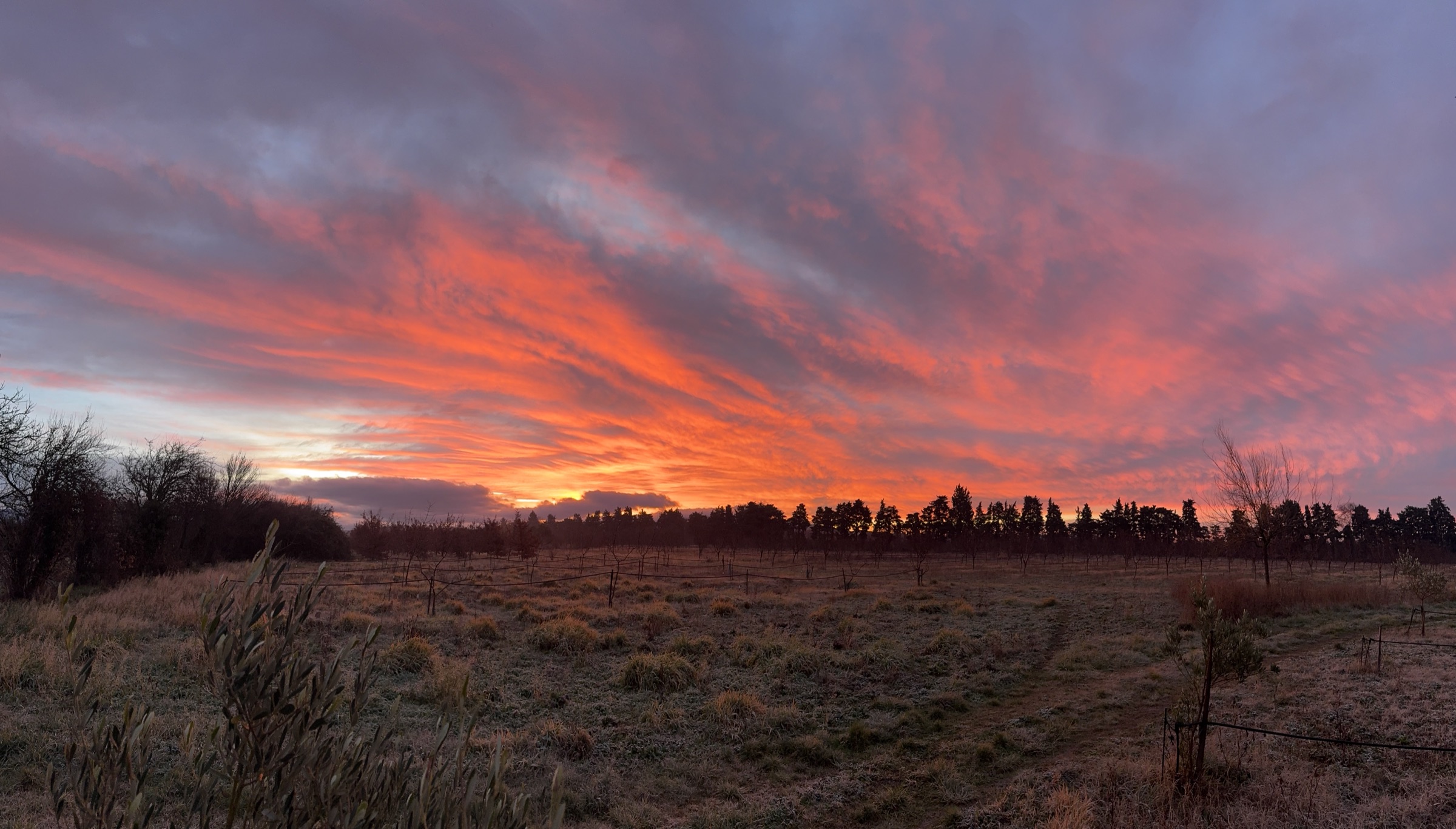 Sunrise over the orchard at Cœur du Mistral